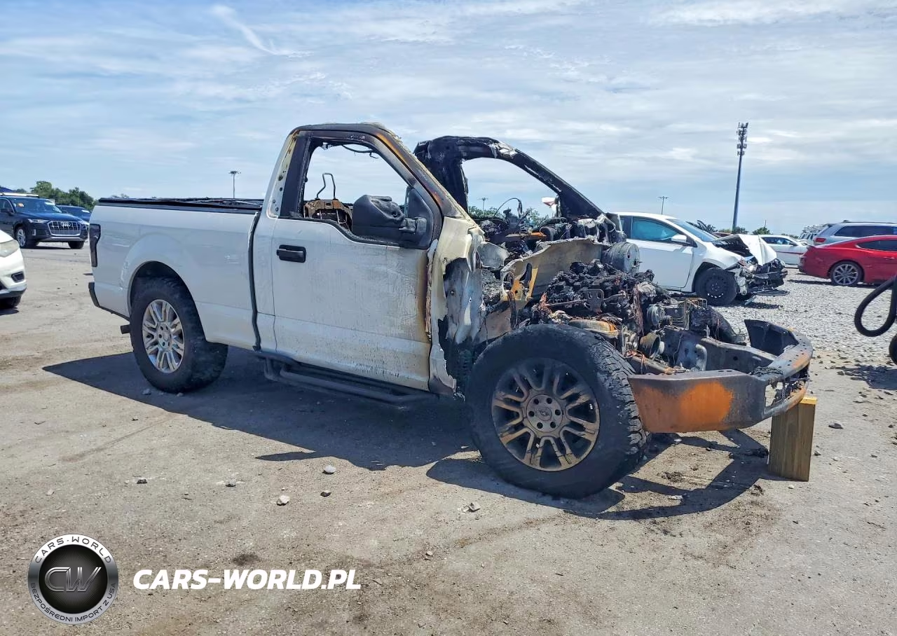 2019 Ford F150 VIN:1FTMF1CB1KKF30617 - 4