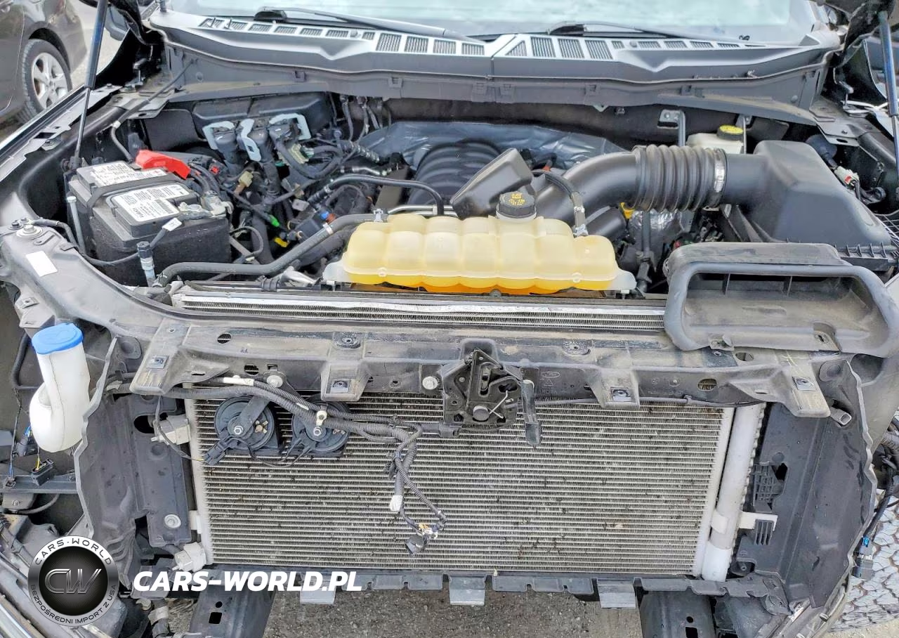 2022 Ford F150 Supercrew VIN:1FTFW1E53NFA53198 - 11