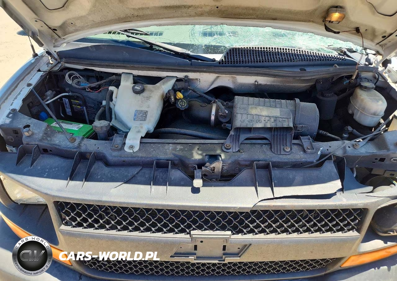 2010 Chevrolet Express G1500 VIN:1GCUGADXXA1110933 - 12