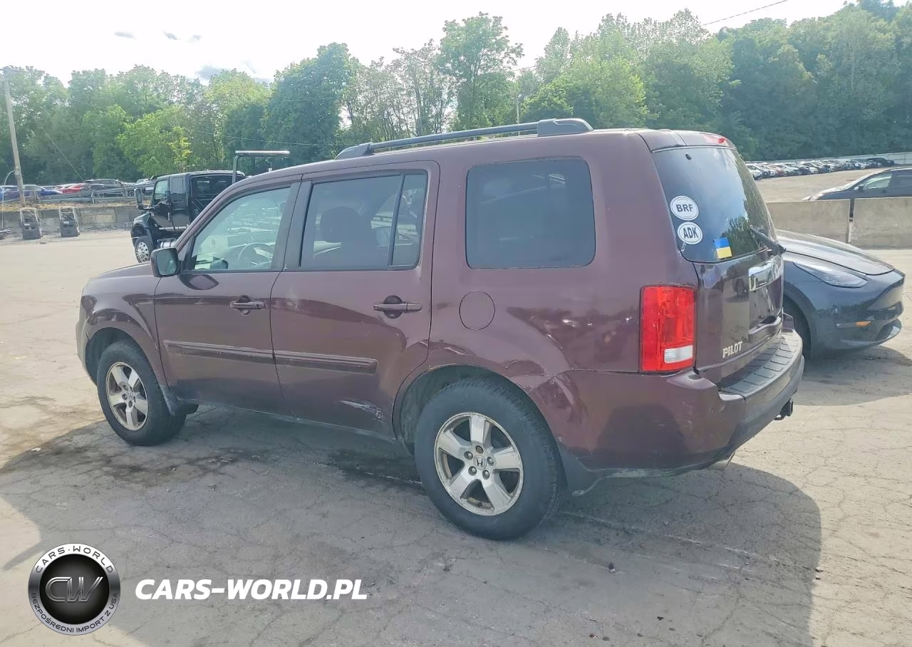 2010 Honda Pilot Exl VIN:5FNYF4H53AB034655 - 2