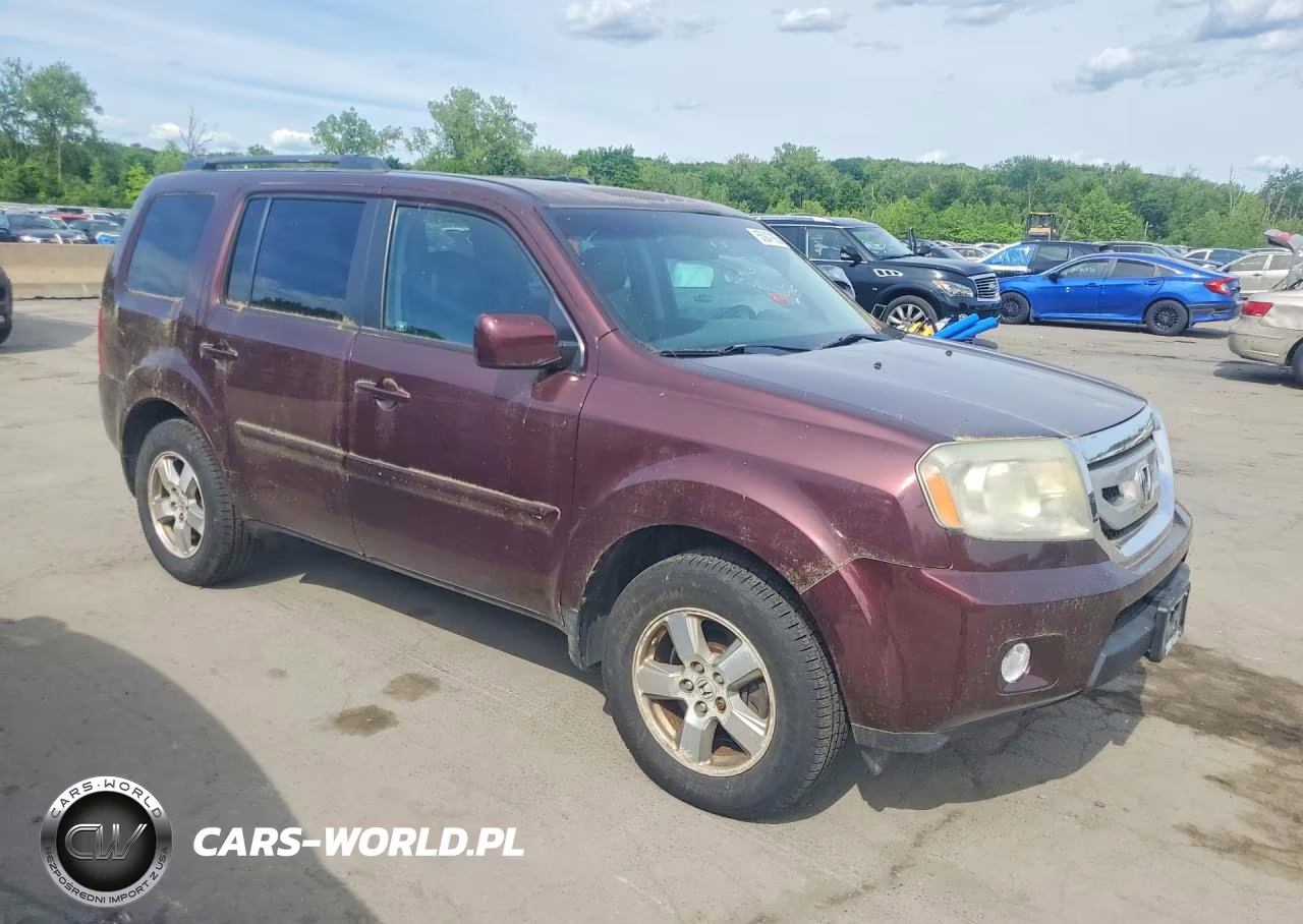 2010 Honda Pilot Exl VIN:5FNYF4H53AB034655 - 4