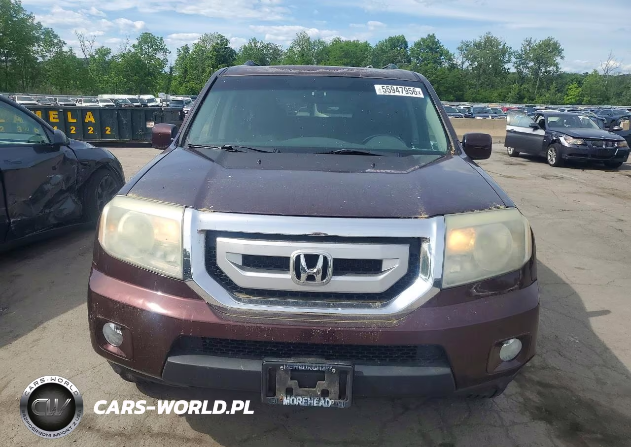 2010 Honda Pilot Exl VIN:5FNYF4H53AB034655 - 5