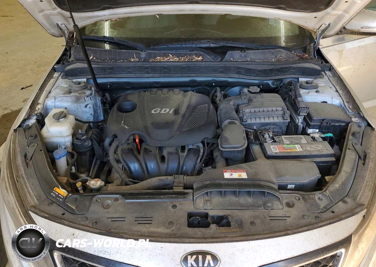2014 Kia Optima VIN:KNAGM4A73E5472495 - 11
