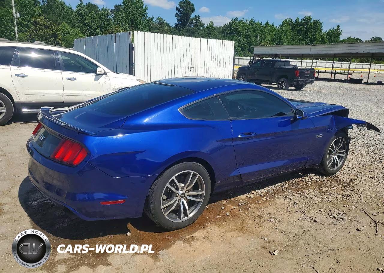 2016 Ford Mustang Gt VIN:1FA6P8CF7G5277204 - 3