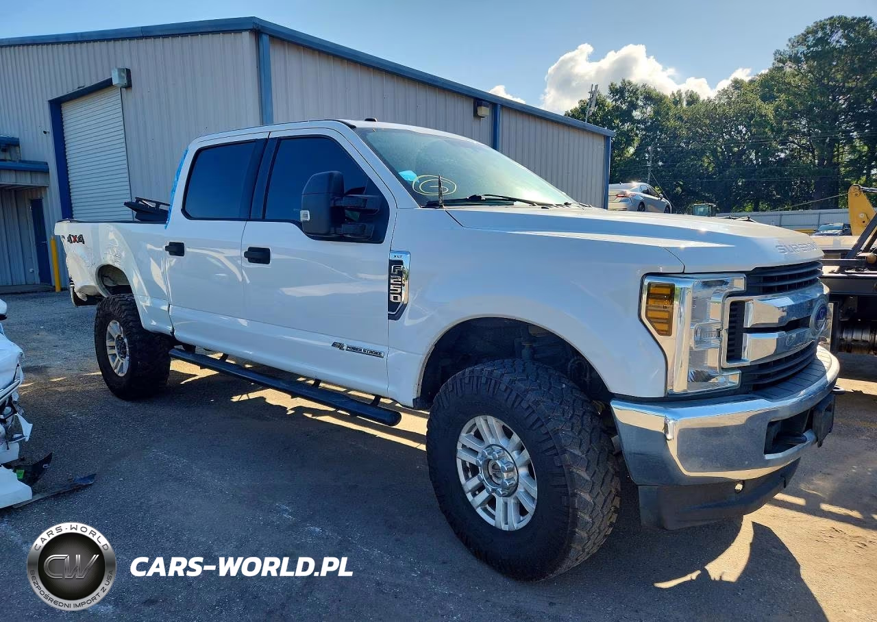 2019 Ford F250 Super Duty VIN:1FT7W2BT3KEG47319 - 4