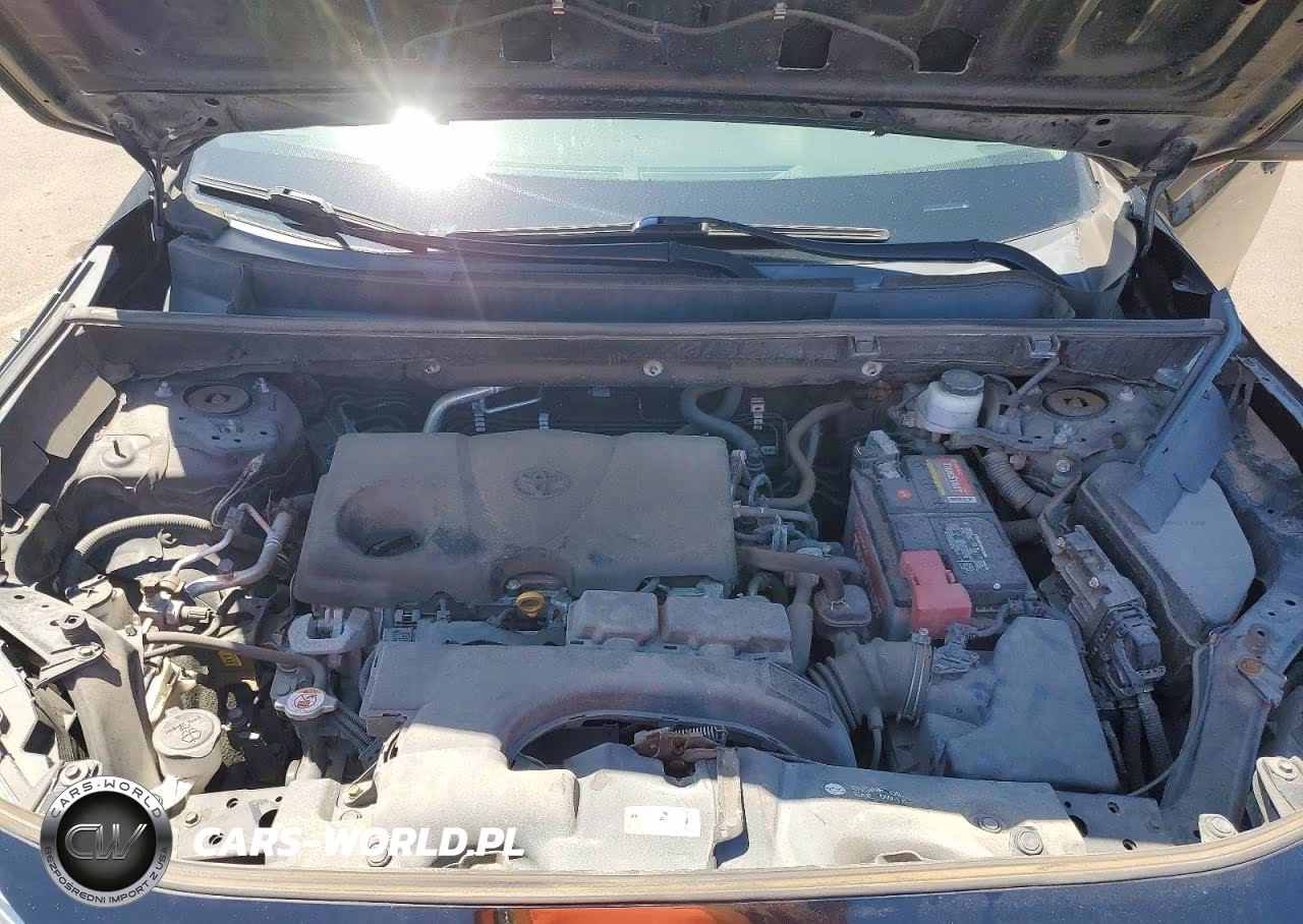 2019 Toyota Rav4 Le VIN:2T3F1RFV9KW021670 - 12