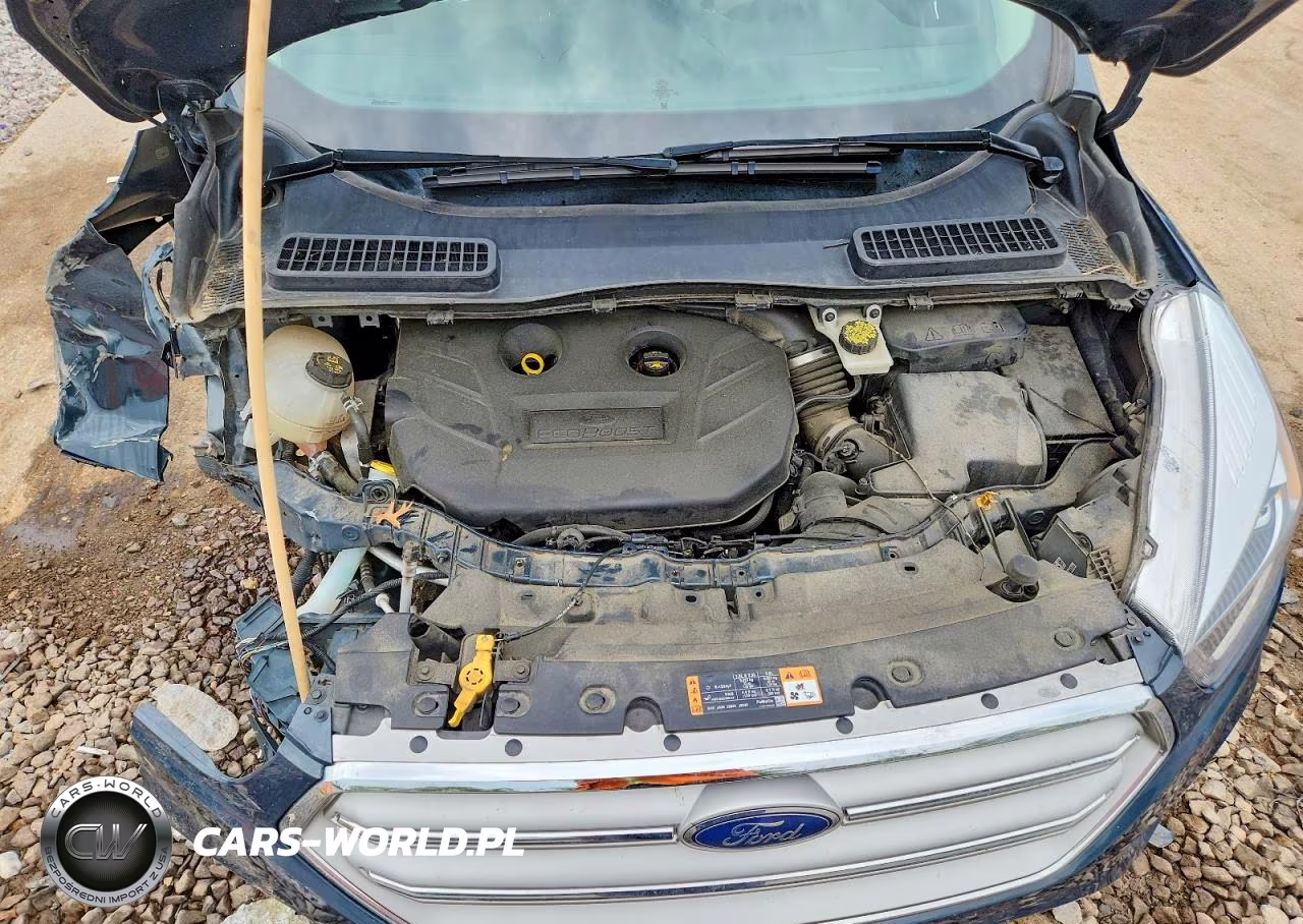 2019 Ford Escape Titanium VIN:1FMCU9J91KUC25036 - 12