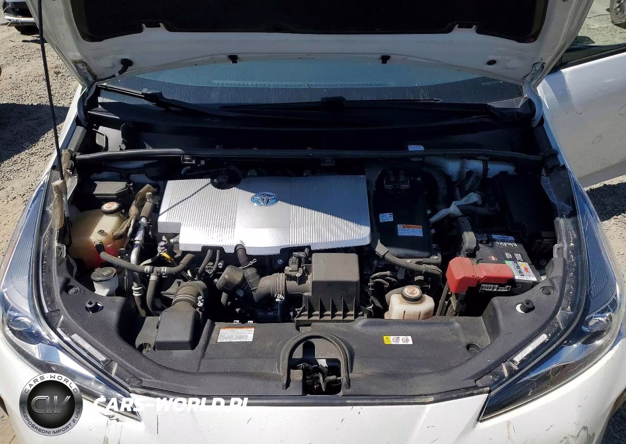 2019 Toyota Prius Xle VIN:JTDKARFU1K3101361 - 11