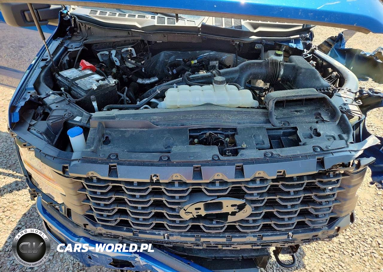 2025 Ford F150 Stx VIN:1FTEX2LP7SKD41604 - 11