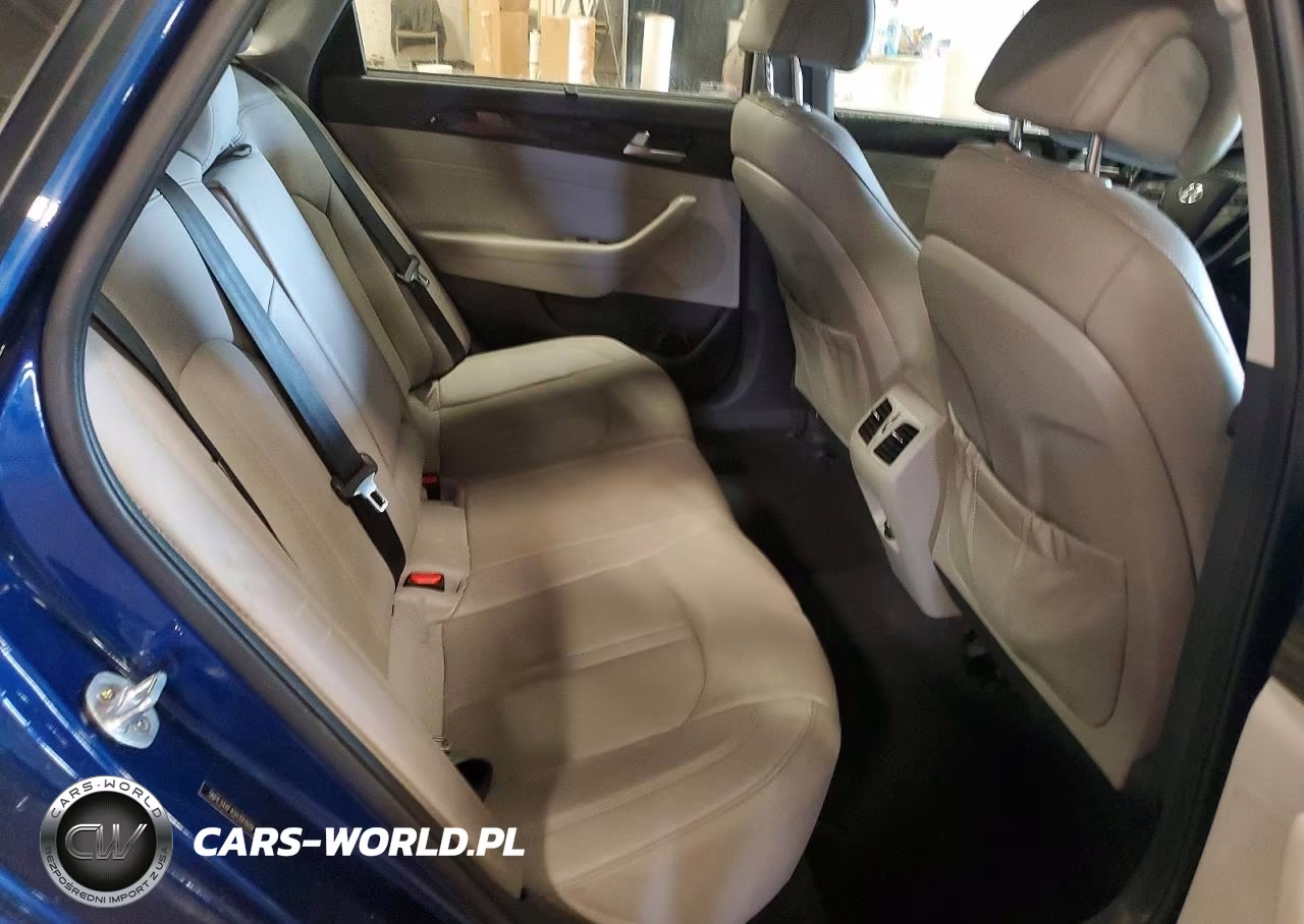 2016 Hyundai Sonata Limited VIN:5NPE34AF4GH391609 - 10