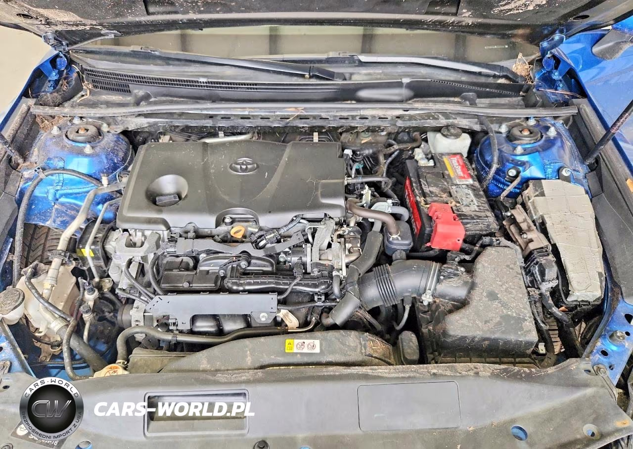 2019 Toyota Camry Xse VIN:4T1B61HK5KU241076 - 11