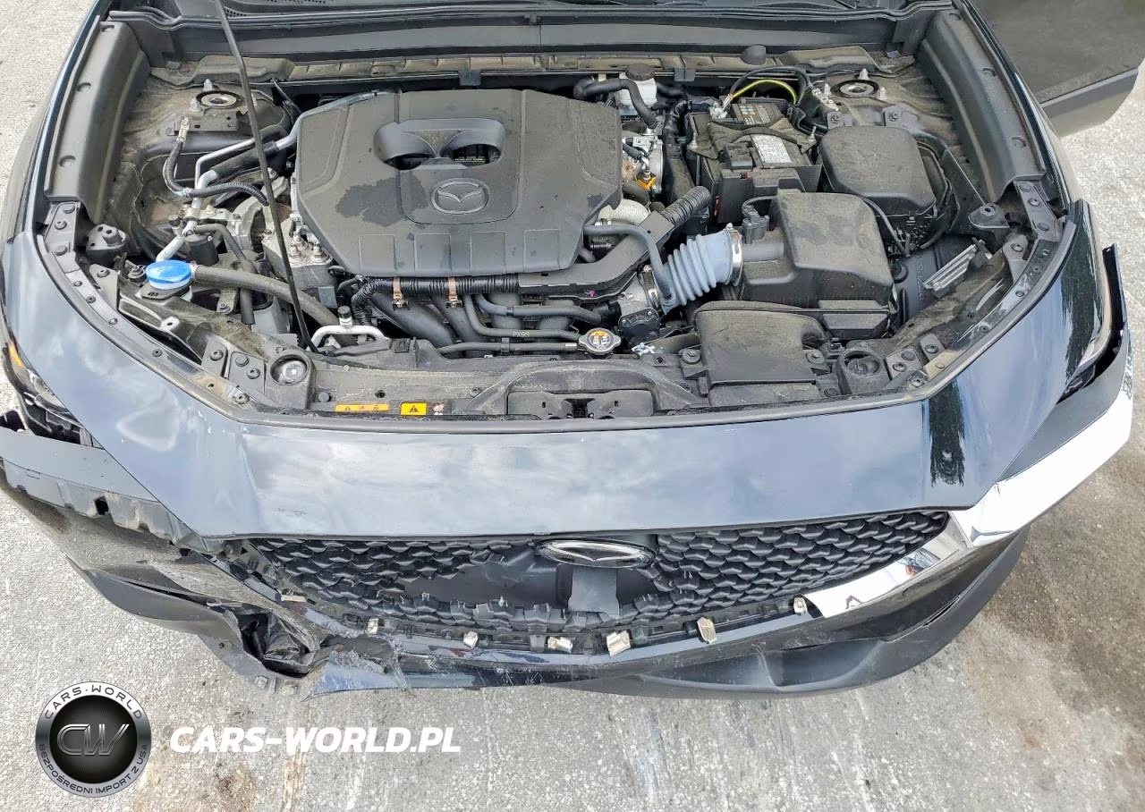 2024 Mazda Cx-30 VIN:3MVDMBAM9RM636864 - 12