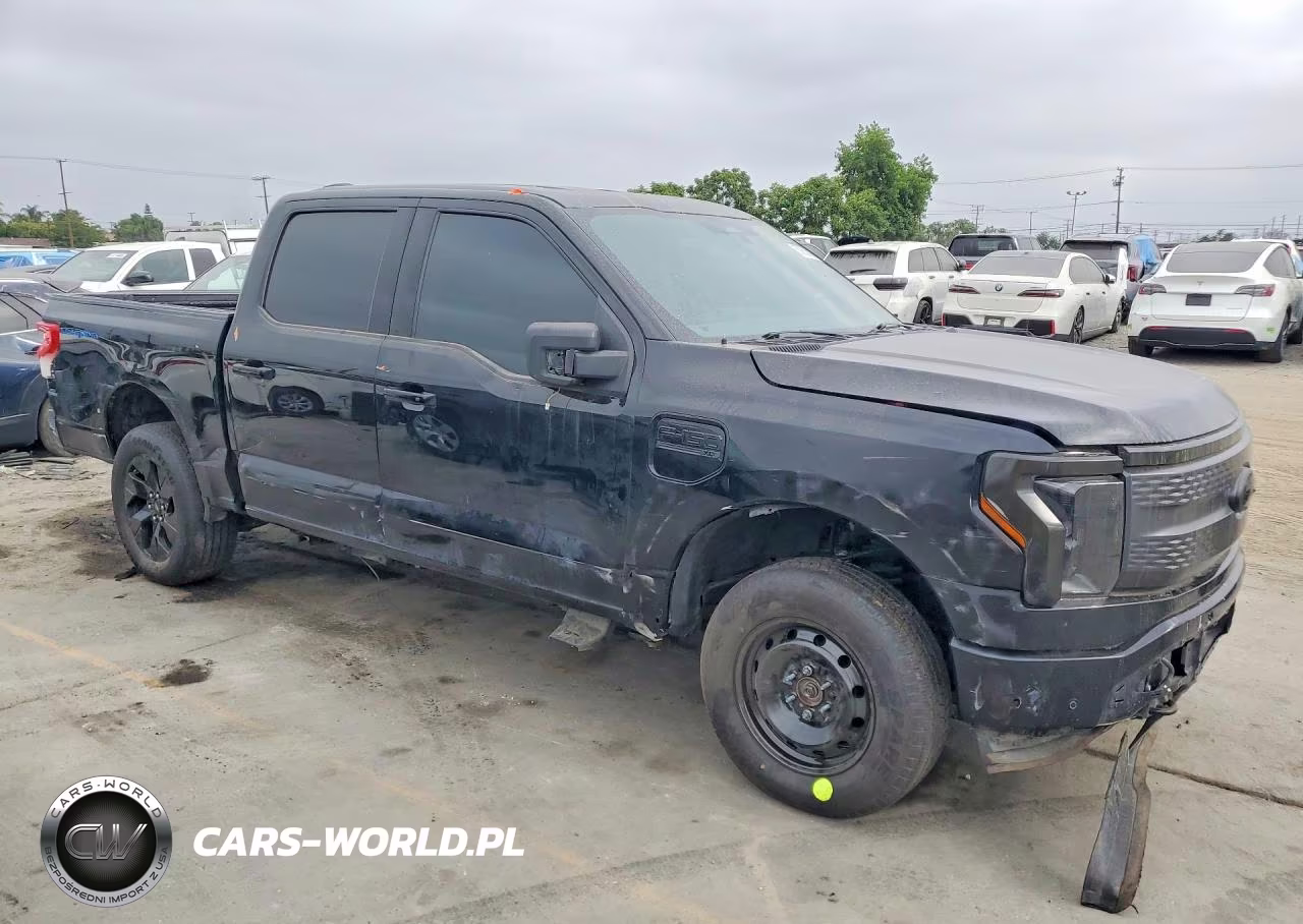 2023 Ford F150 Lightning Pro VIN:1FT6W1EV6PWG35220 - 4