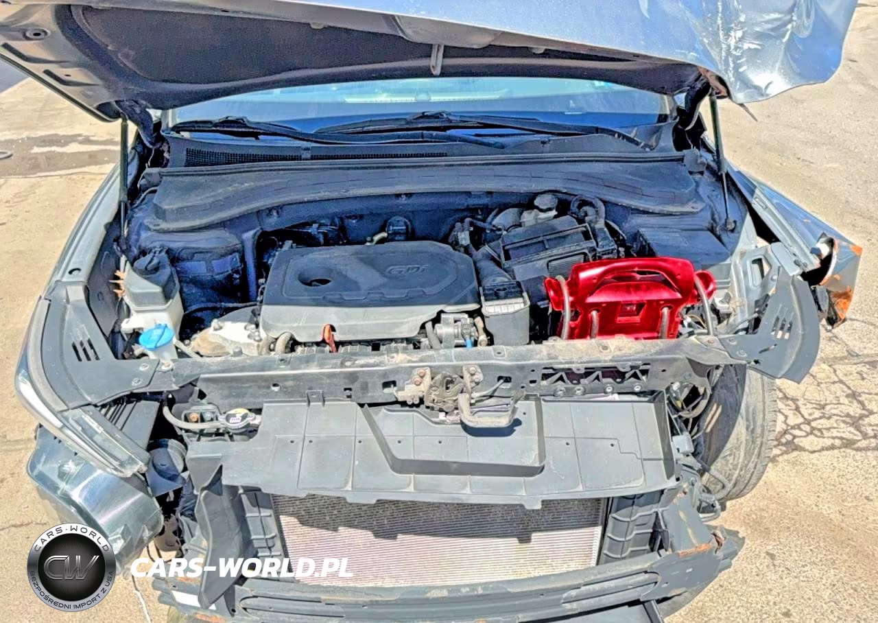 2019 Hyundai Santa Fe Sel 2.4L VIN:5NMS3CAD9KH047162 - 7