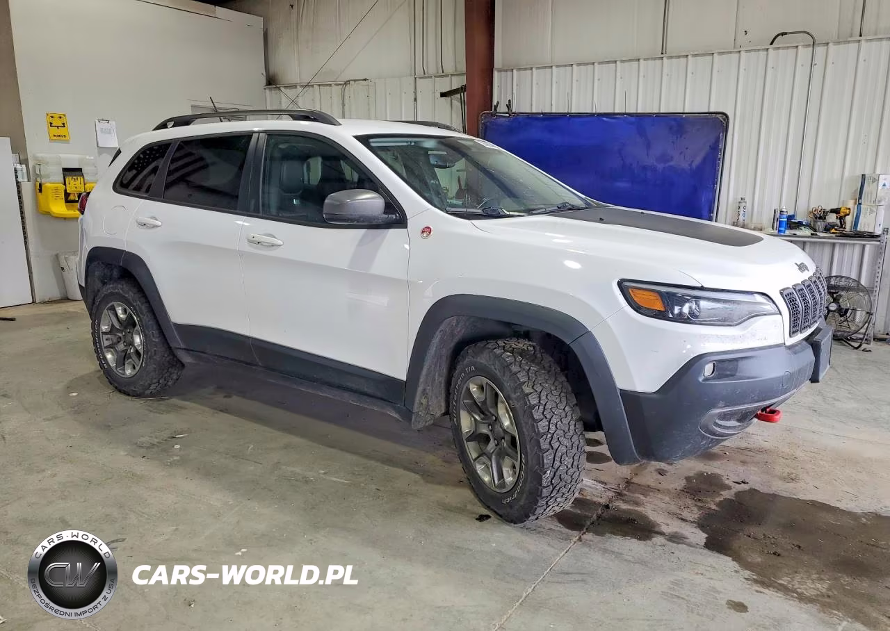 2019 Jeep Cherokee Trailhawk VIN:1C4PJMBN3KD400819 - 4