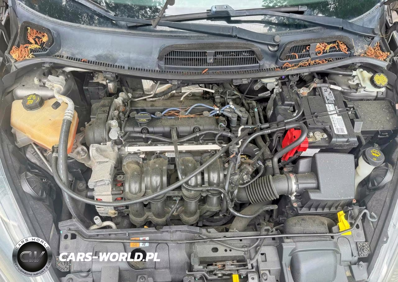 2014 Ford Feista 4S VIN:ADP4BJ9EM203652 - 7