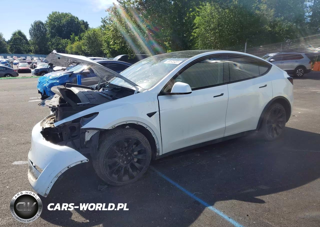 2023 Tesla Model Y – zdjęcie 1 z 12