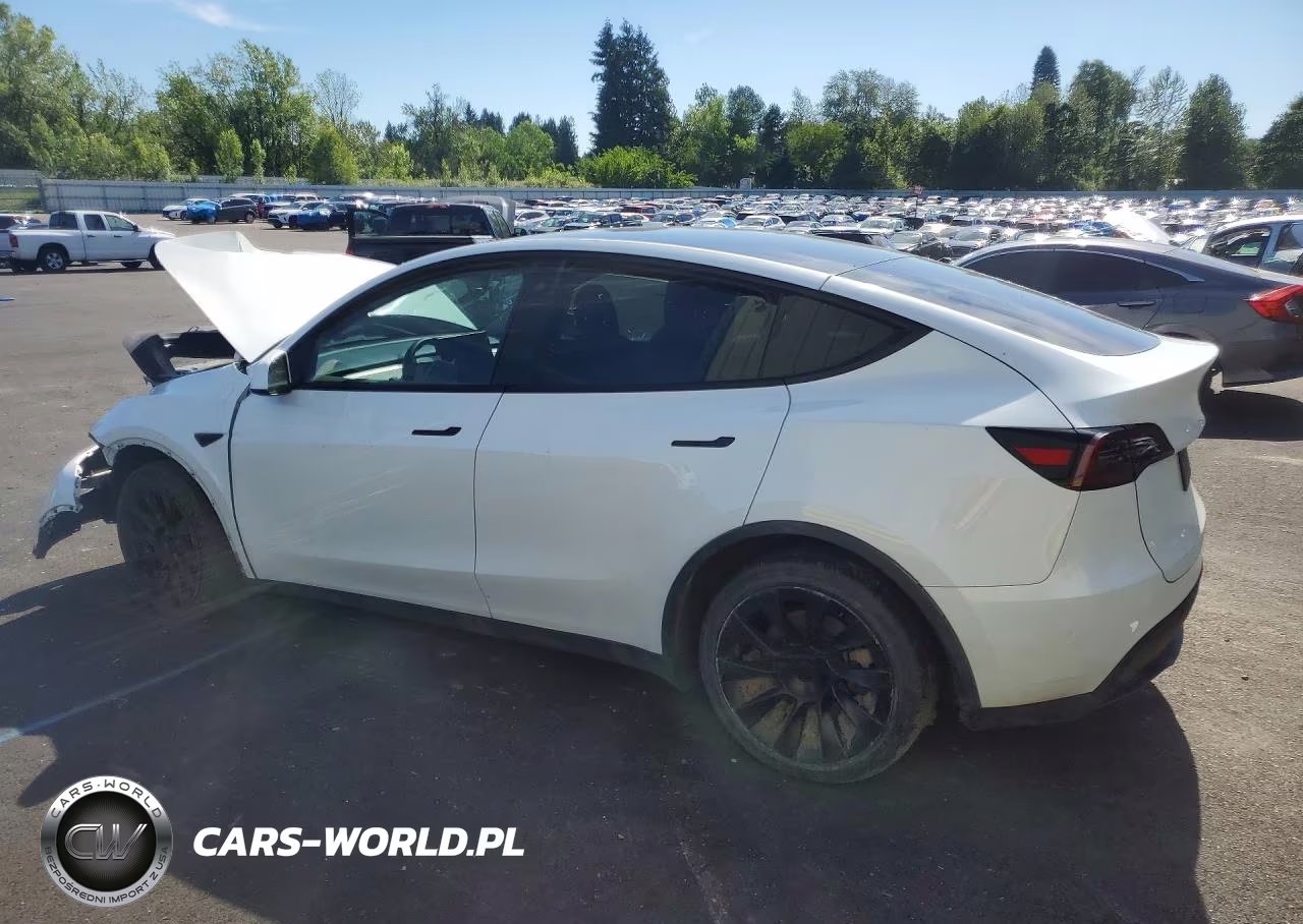 2023 Tesla Model Y VIN:7SAYGDEEXPF637972 - 2