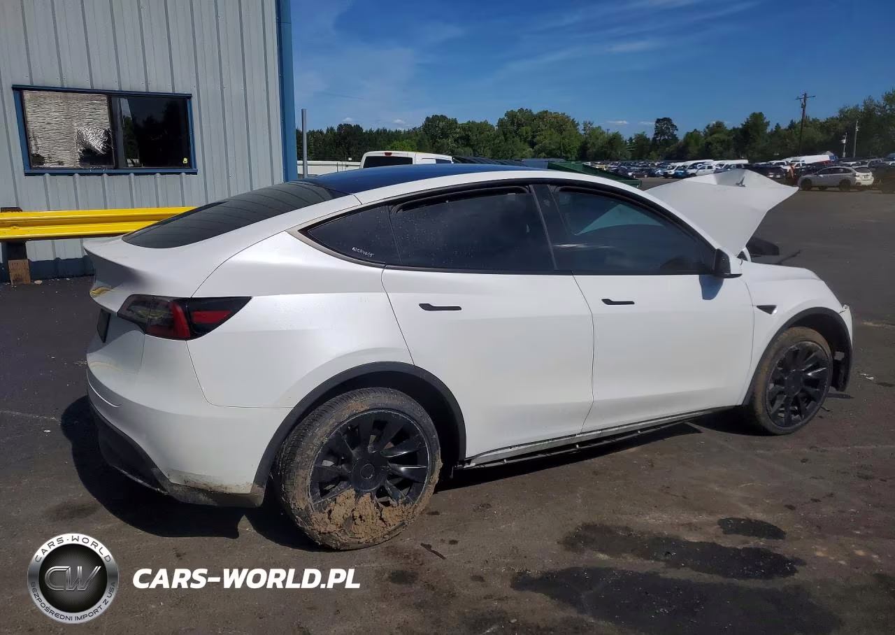 2023 Tesla Model Y VIN:7SAYGDEEXPF637972 - 3