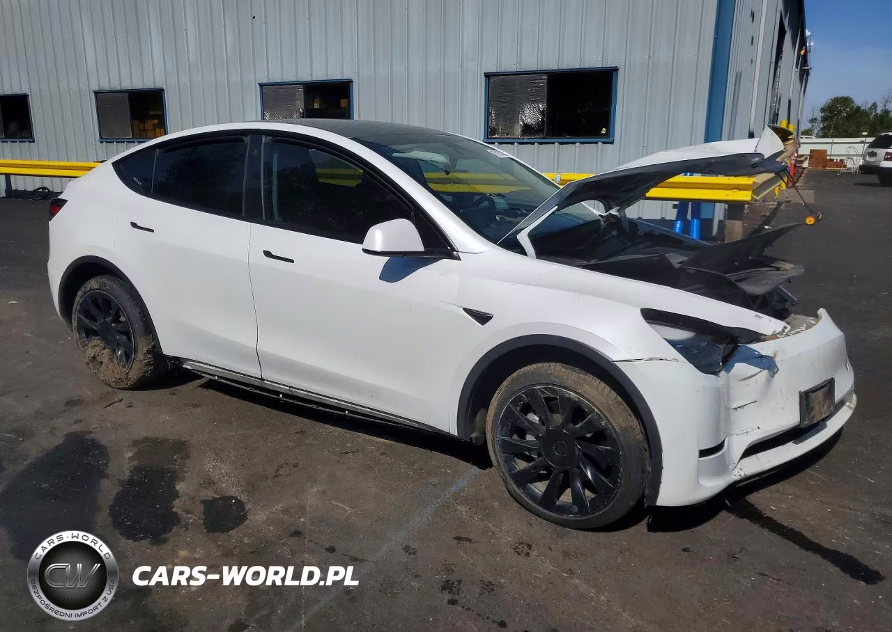 2023 Tesla Model Y VIN:7SAYGDEEXPF637972 - 4