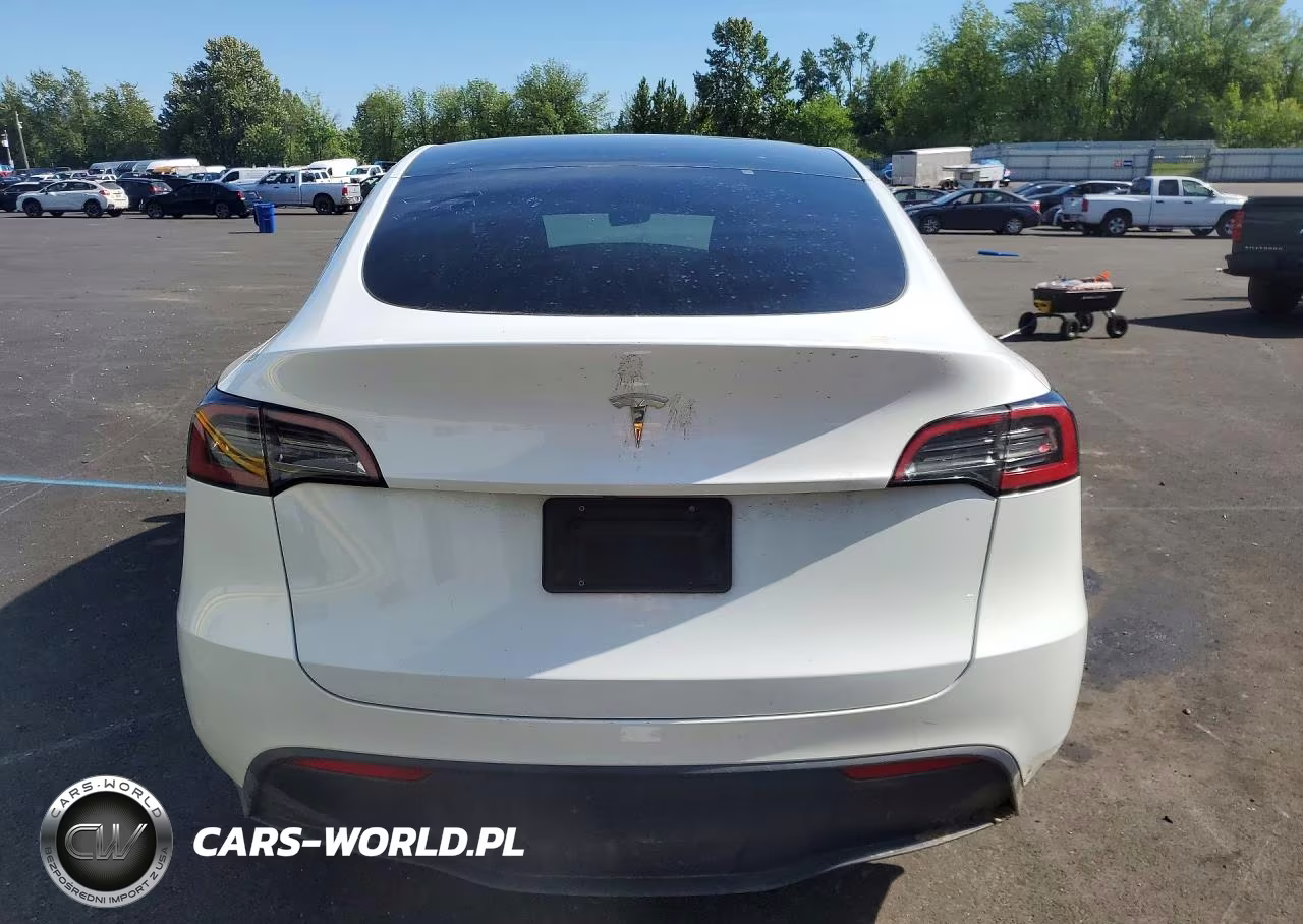 2023 Tesla Model Y VIN:7SAYGDEEXPF637972 - 6