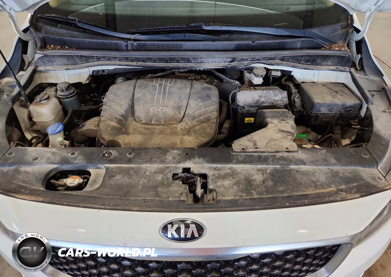 2017 Kia Sedona Lx VIN:KNDMB5C15H6243907 - 12