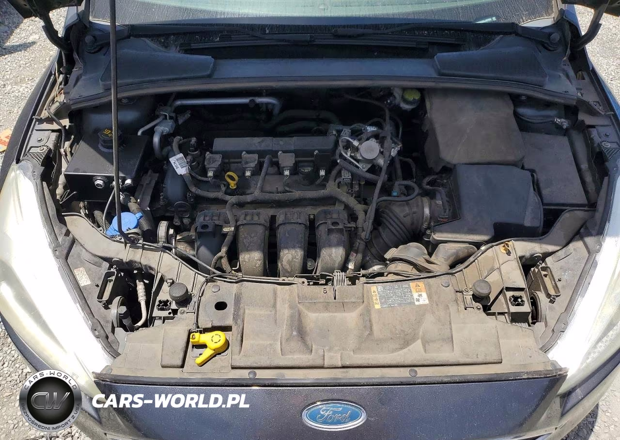 2016 Ford Focus VIN:1FADP3K20GL407036 - 11
