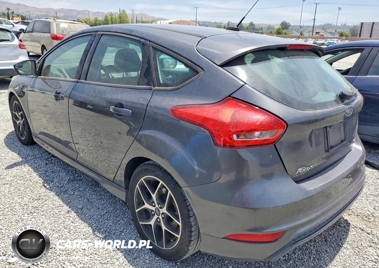 2016 Ford Focus VIN:1FADP3K20GL407036 - 2