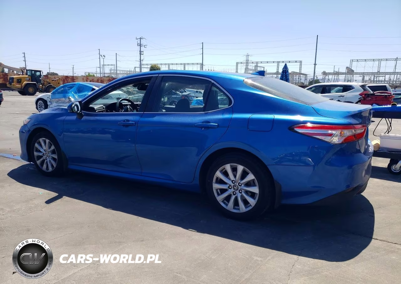 2020 Toyota Camry Le VIN:4T1L11AK8LU325021 - 2