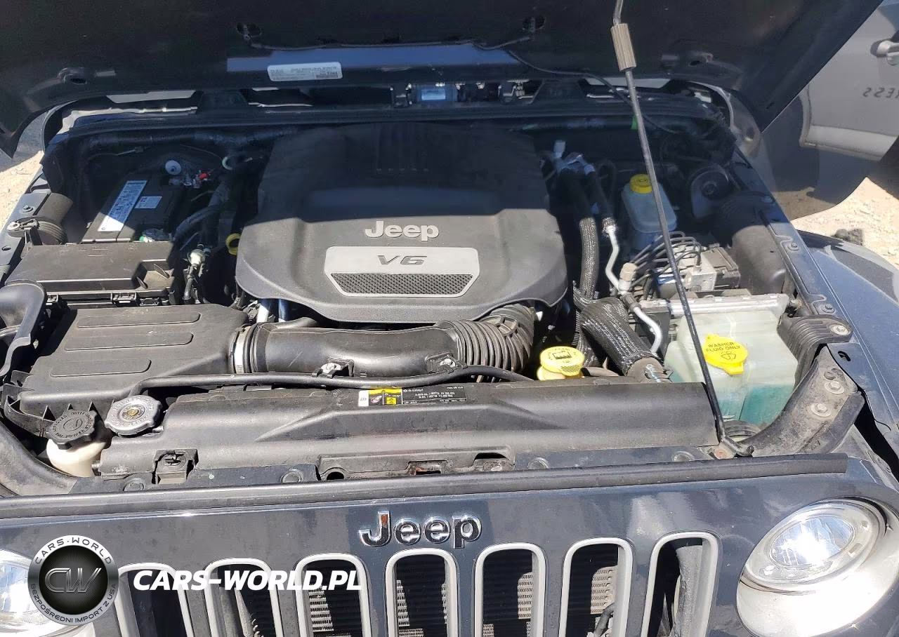 2018 Jeep Wrangler 2D 4X4 (New VIN:1C4HJWEG4JL923168 - 12