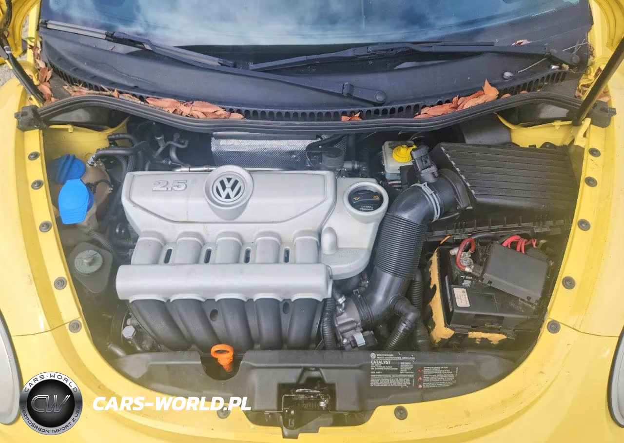 2008 Volkswagen New Beetle S VIN:3VWRG31CX8M501979 - 11