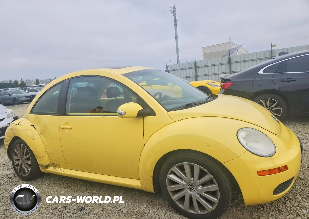 2008 Volkswagen New Beetle S VIN:3VWRG31CX8M501979 - 4