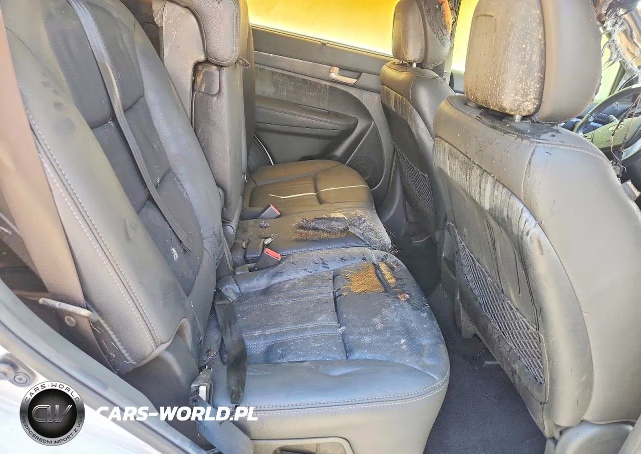 2014 Kia Sorento Lx VIN:5XYKT4A66EG495686 - 10