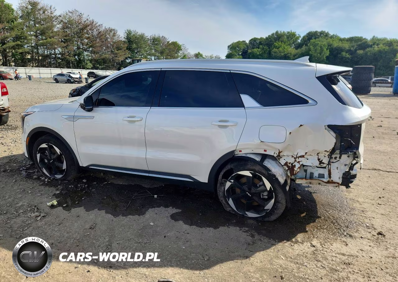 2025 Kia Sorento Sxp VIN:KNDRKDJG3S5397648 - 2
