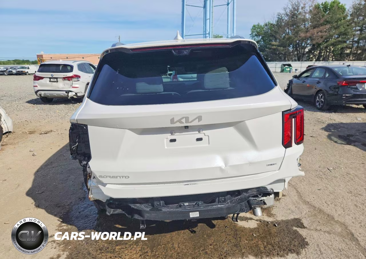 2025 Kia Sorento Sxp VIN:KNDRKDJG3S5397648 - 6