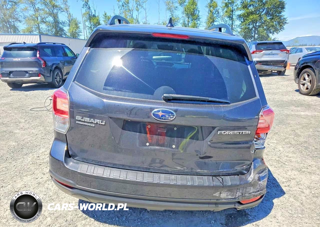 2018 Subaru Forester 2.5I Premium VIN:JF2SJAGC8JH420699 - 6