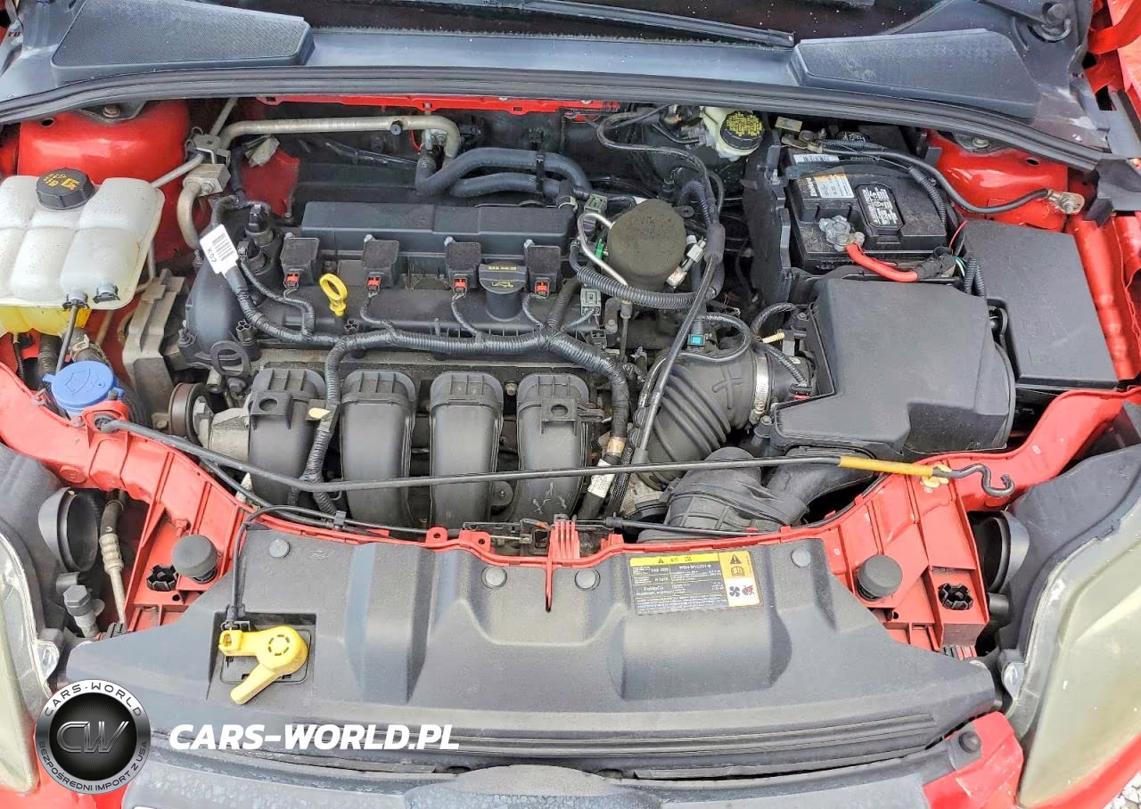 2014 Ford Focus Se VIN:1FADP3F22EL219898 - 11