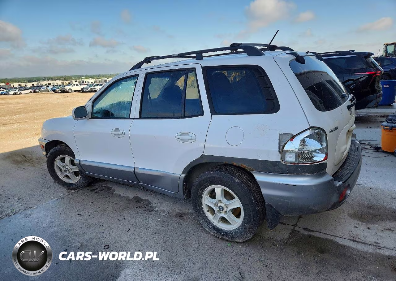 2004 Hyundai Santa Fe Gls VIN:KM8SC73E24U793263 - 2