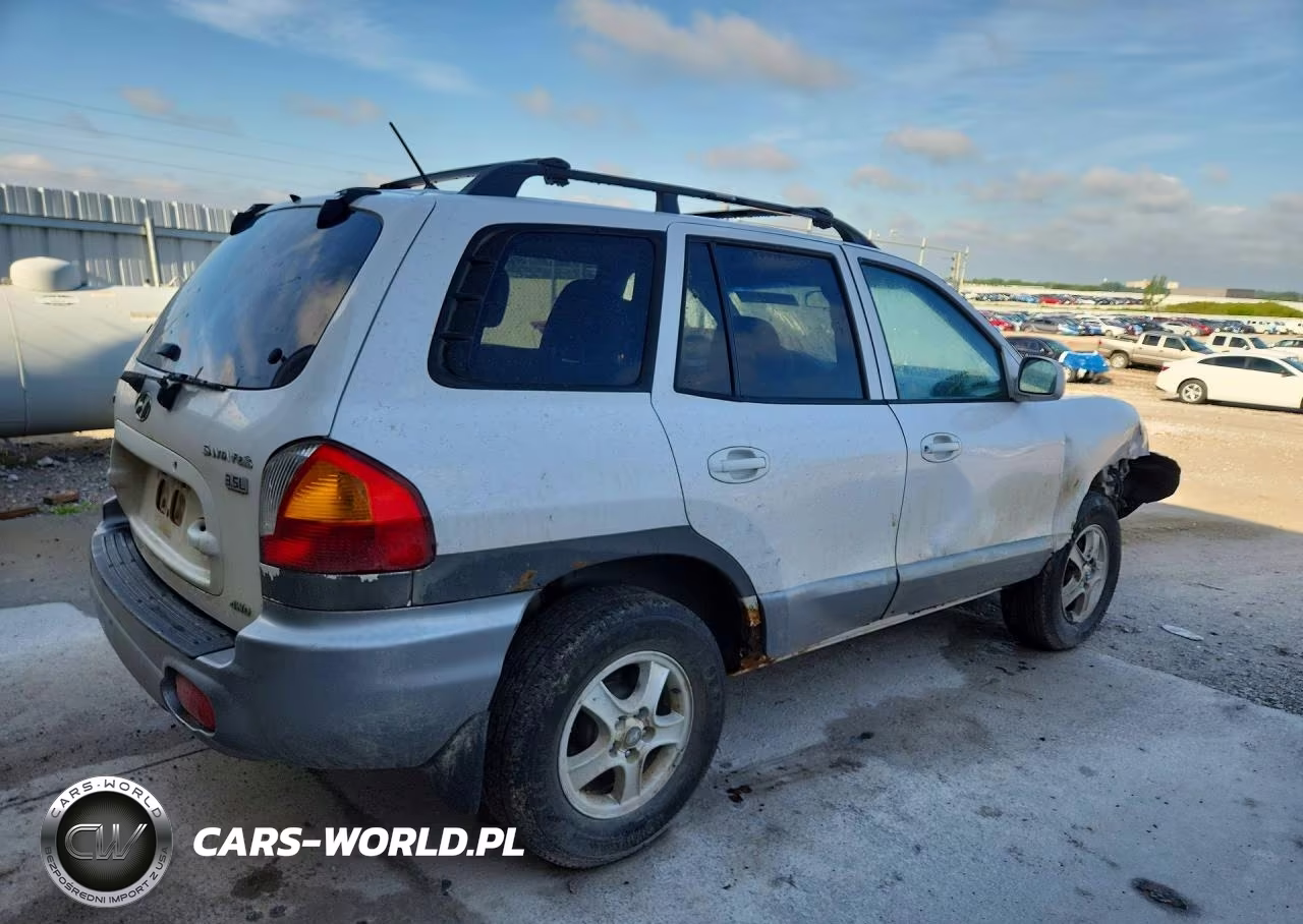2004 Hyundai Santa Fe Gls VIN:KM8SC73E24U793263 - 3