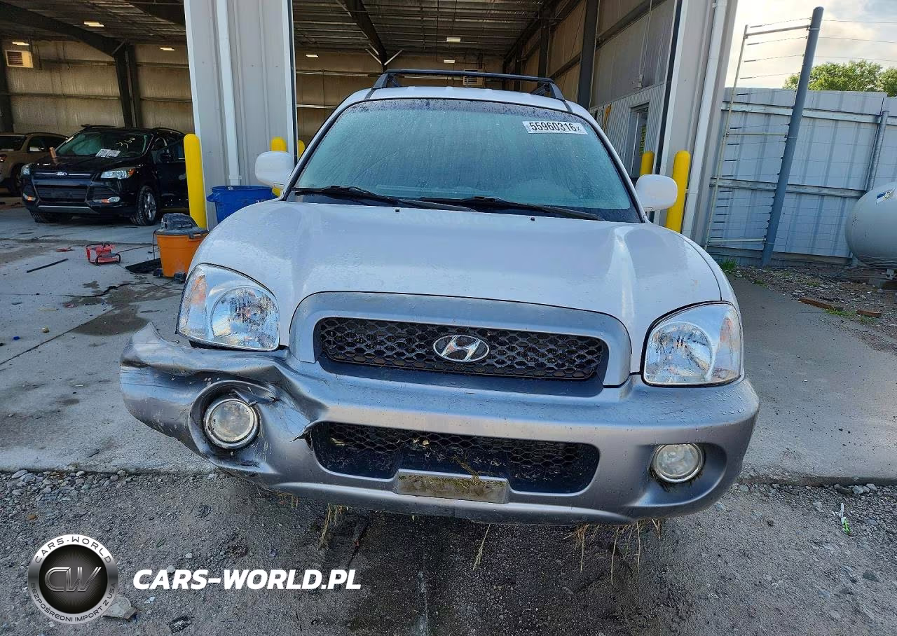 2004 Hyundai Santa Fe Gls VIN:KM8SC73E24U793263 - 5