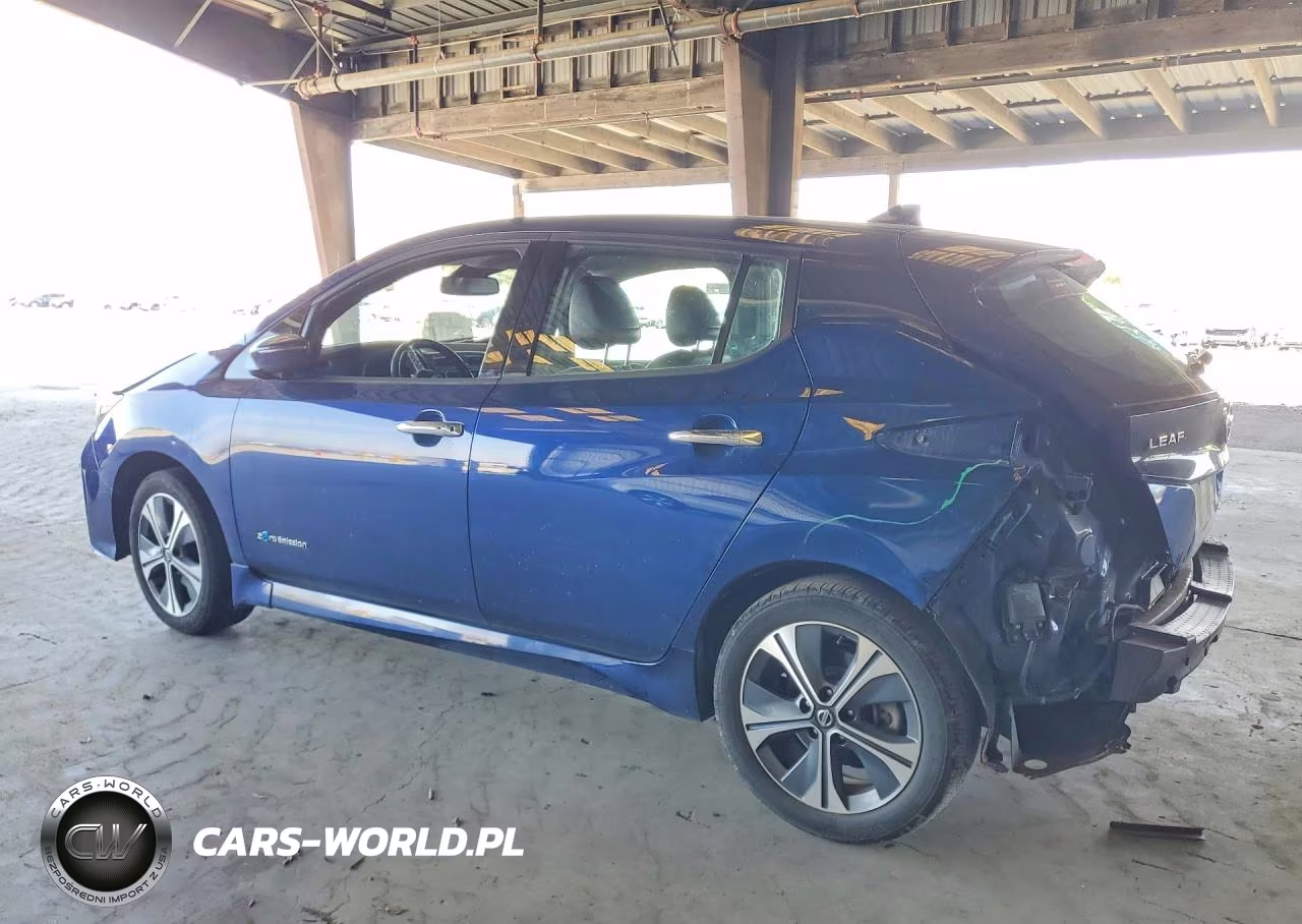 2019 Nissan Leaf Sl Plus VIN:1N4BZ1CP3KC308686 - 2