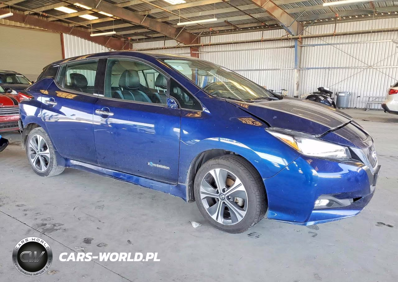 2019 Nissan Leaf Sl Plus VIN:1N4BZ1CP3KC308686 - 4