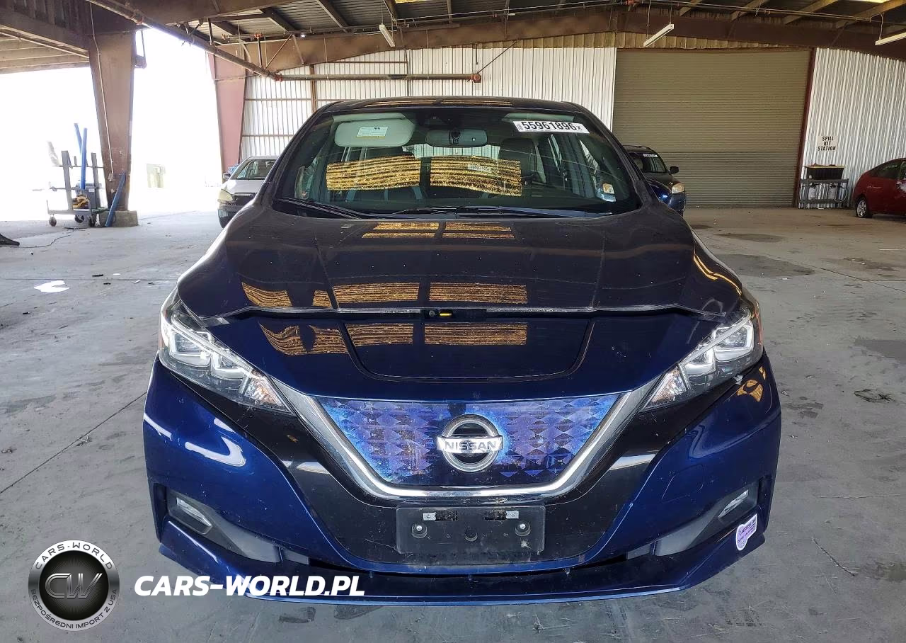 2019 Nissan Leaf Sl Plus VIN:1N4BZ1CP3KC308686 - 5
