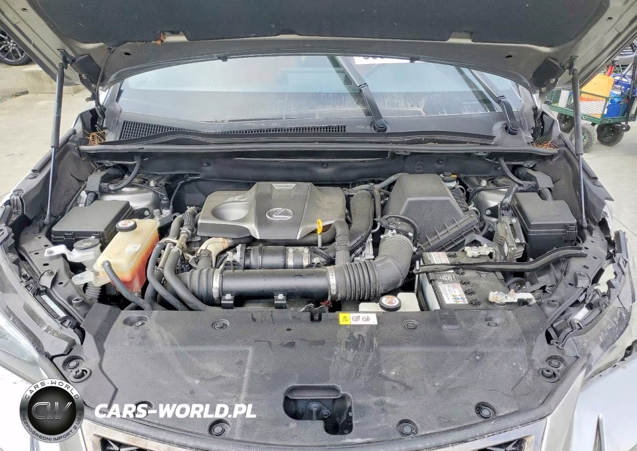2019 Lexus Nx 300 F Sport VIN:JTJBARBZ9K2187281 - 12