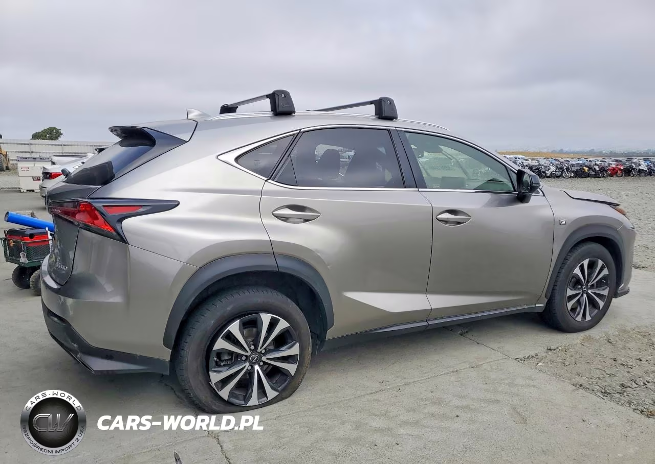 2019 Lexus Nx 300 F Sport VIN:JTJBARBZ9K2187281 - 3