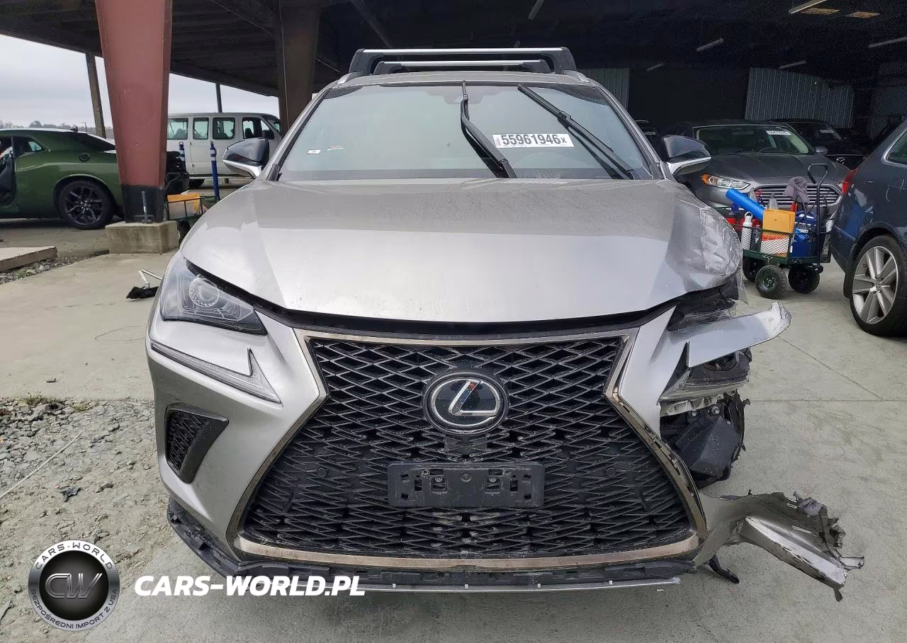 2019 Lexus Nx 300 F Sport VIN:JTJBARBZ9K2187281 - 5