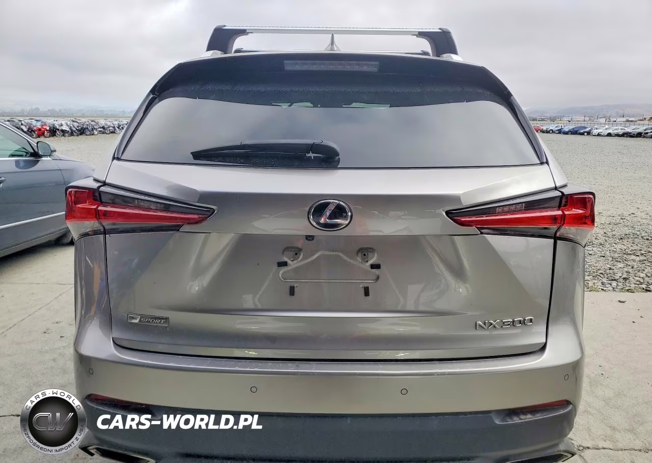 2019 Lexus Nx 300 F Sport VIN:JTJBARBZ9K2187281 - 6