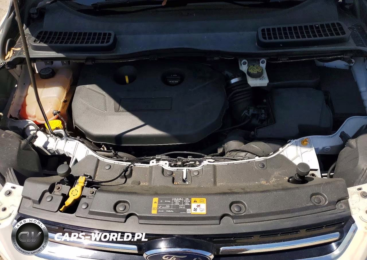 2013 Ford Escape Sel VIN:1FMCU9H99DUB75883 - 12