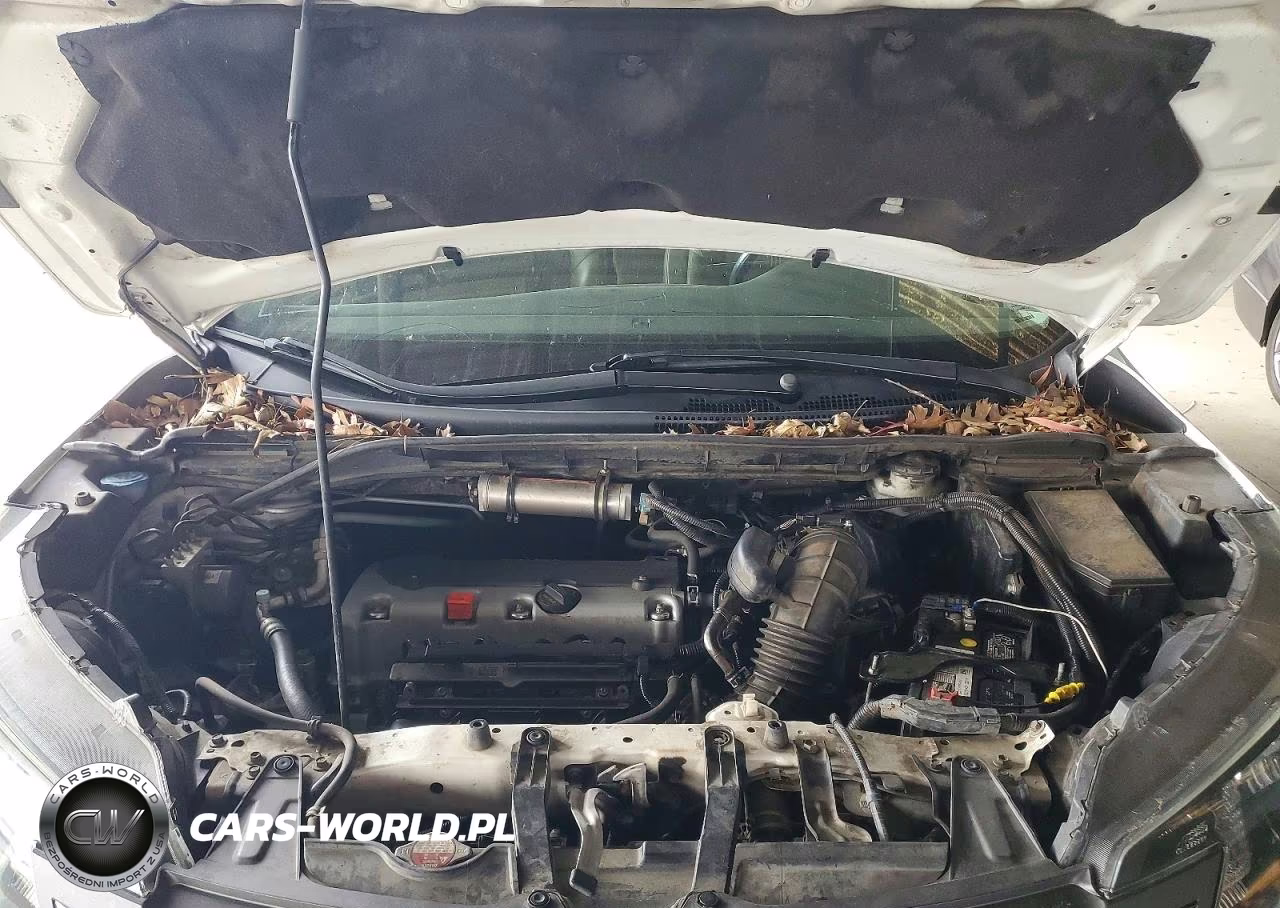 2013 Honda Cr-V Exl VIN:5J6RM4H72DL088021 - 12