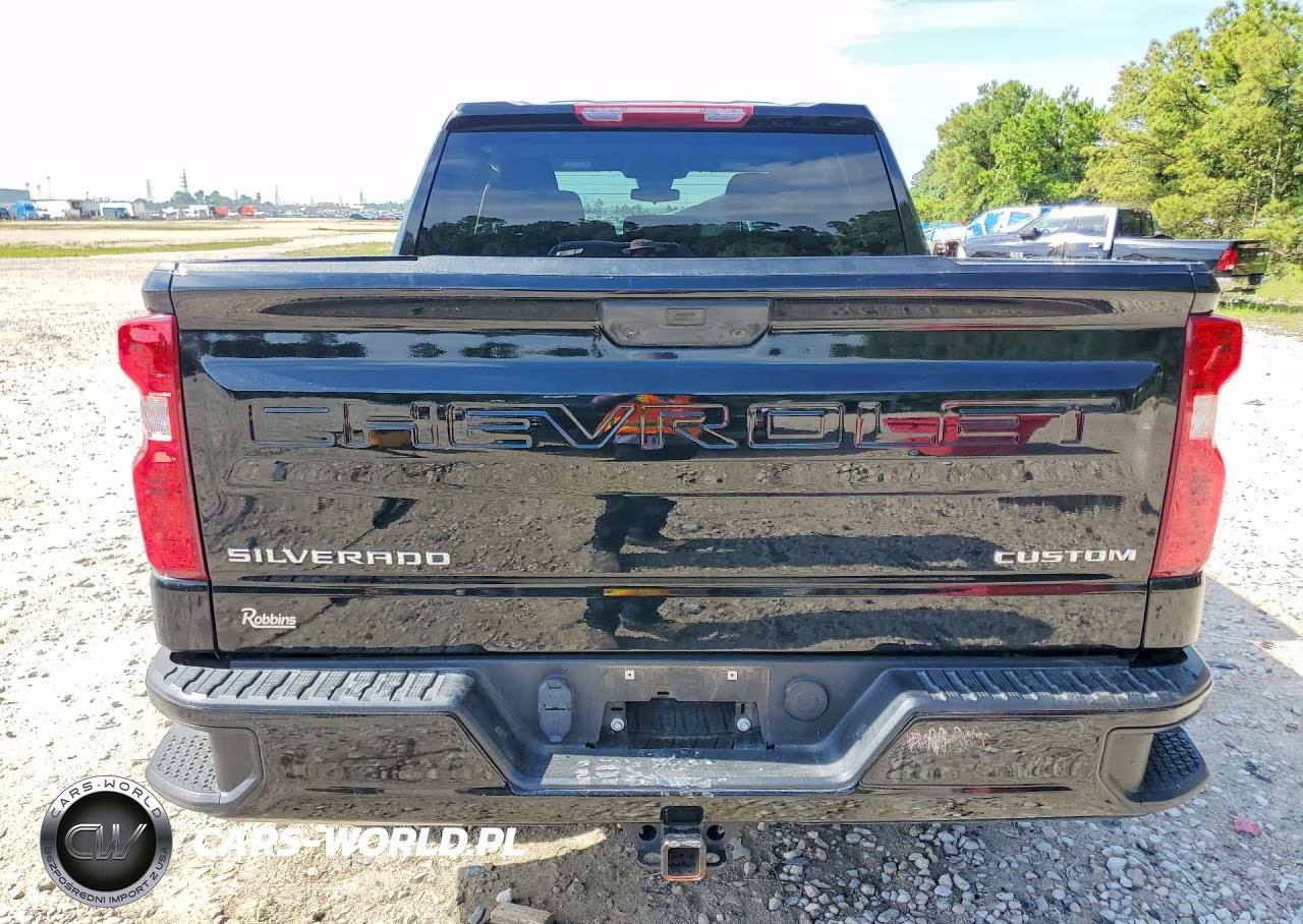 2025 Chevrolet Silverado C1500 Custom VIN:3GCPABEK1SG142339 - 6